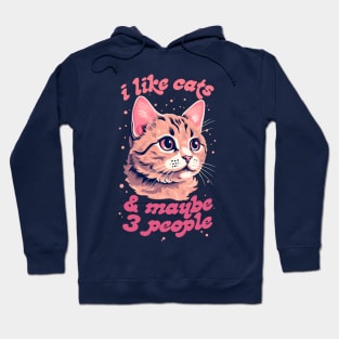 I Like Cats & Maybe 3 People Hoodie